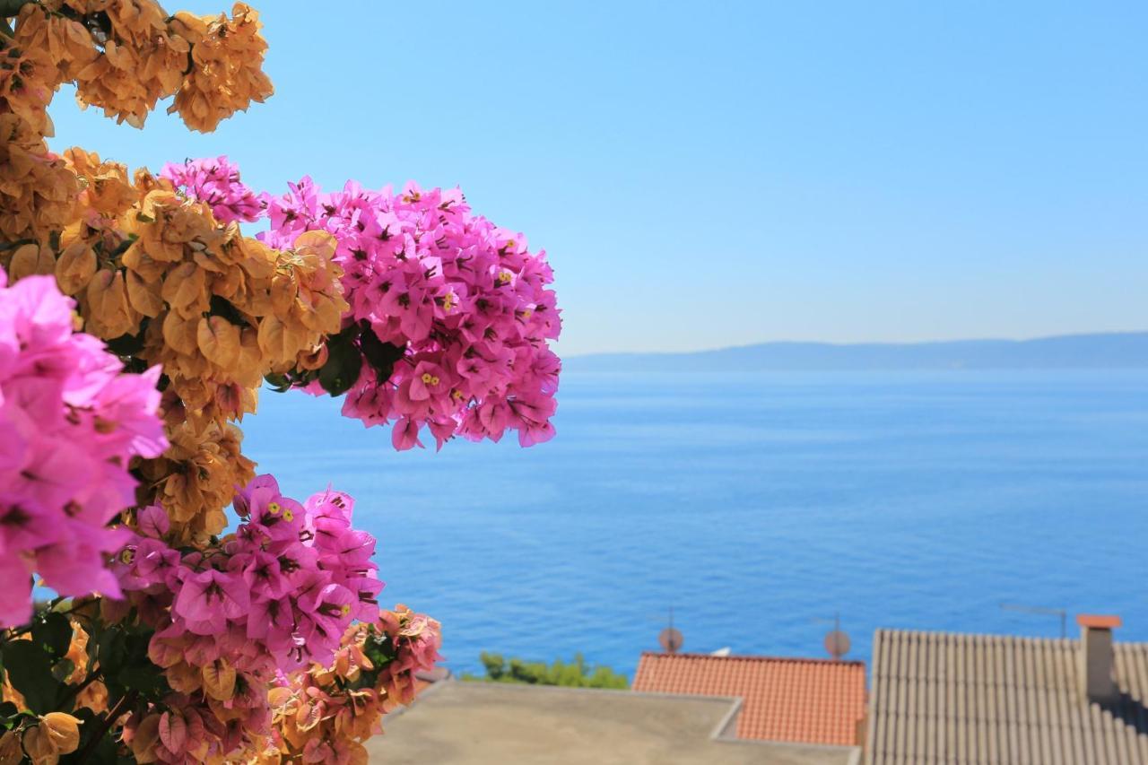 טרוגיר Apartments By The Sea Rastici, Ciovo - 11723 מראה חיצוני תמונה